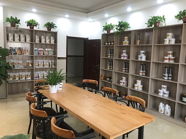 公司环境